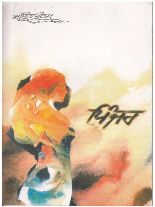 Cover image for Pinjar